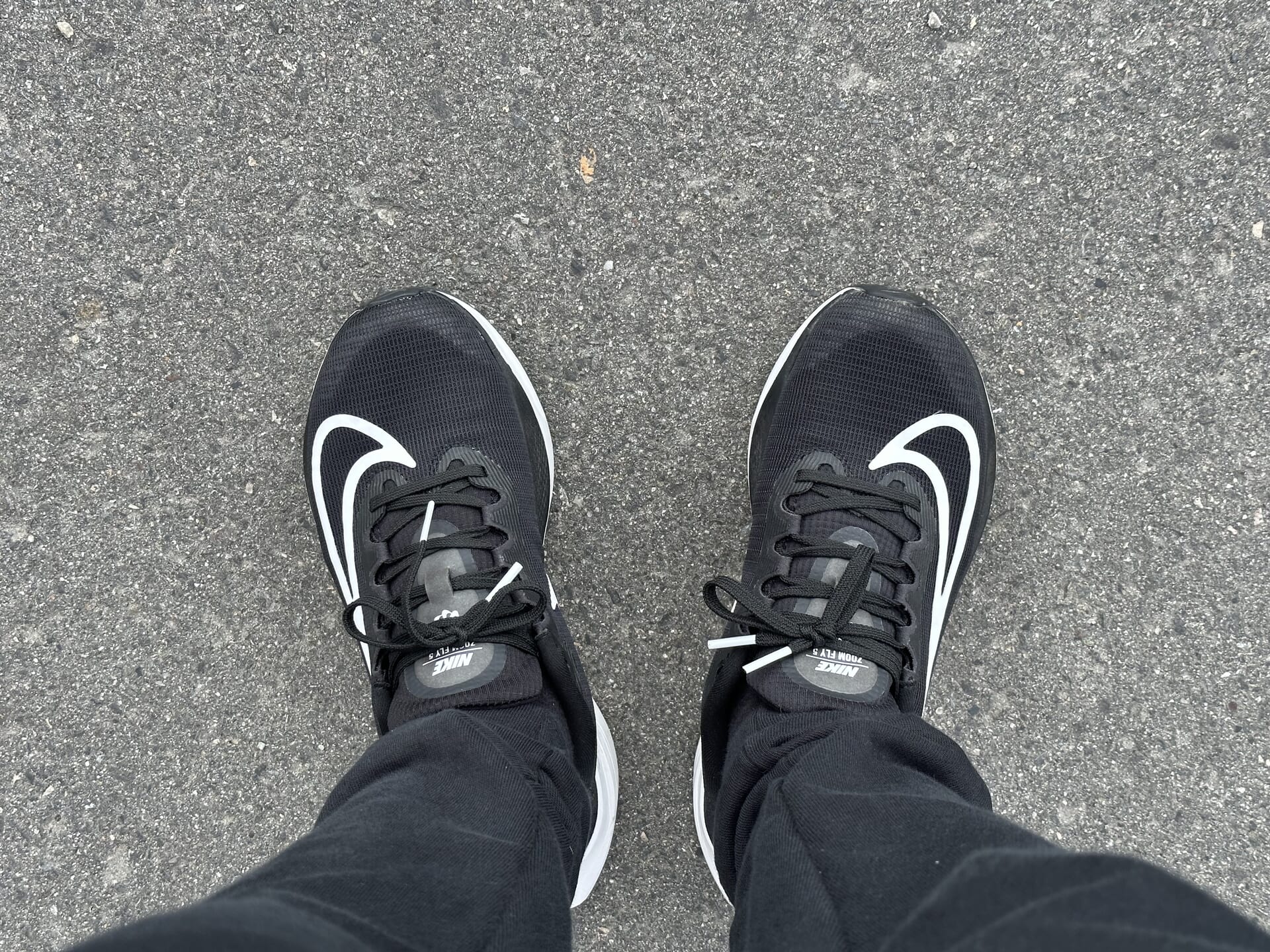 本日2度目の散歩を開始