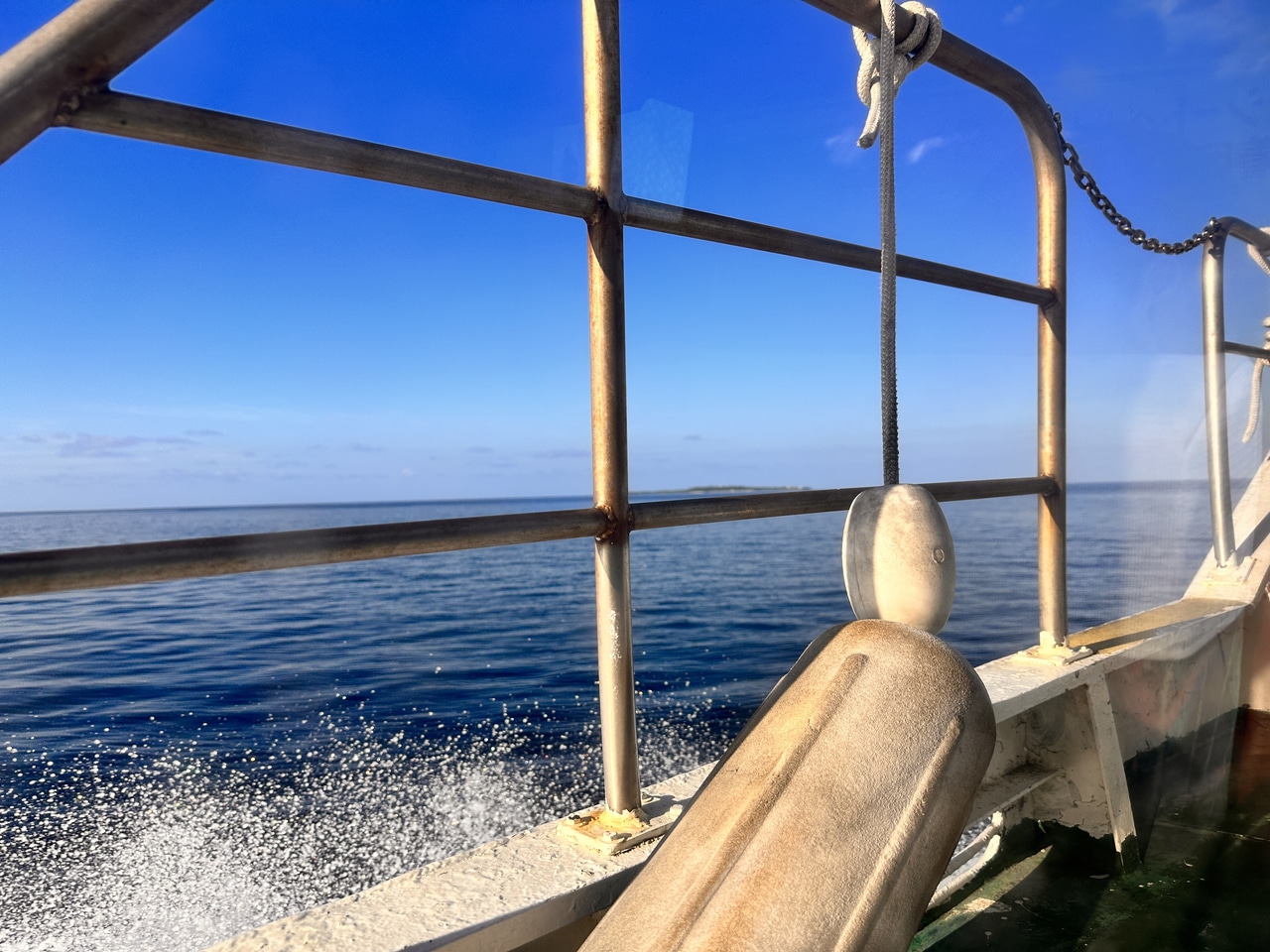 なんとかなった